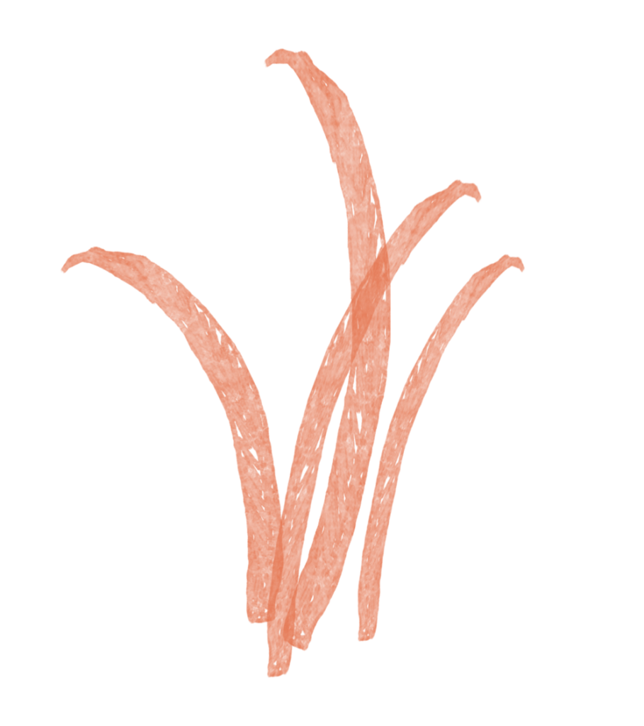 déclinaison de Communication visuelle