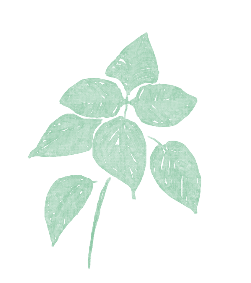 Identité visuelle support de communication